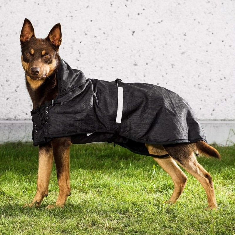 Waterproof Thermal Coat for Dogs with Arthritis & Active Dogs