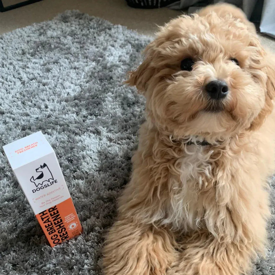 Dental Water Additive for Dogs — Fights Bad Breath & Plaque