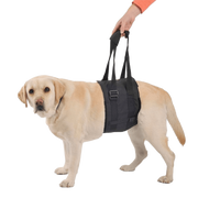 Abdominal Support Sling for Dogs with Reduced Mobility