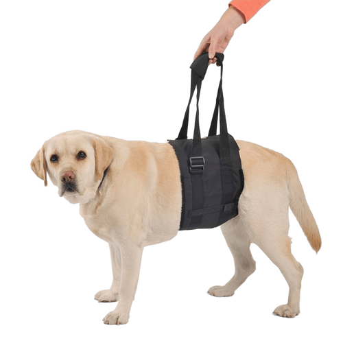 Abdominal Support Sling for Dogs with Reduced Mobility