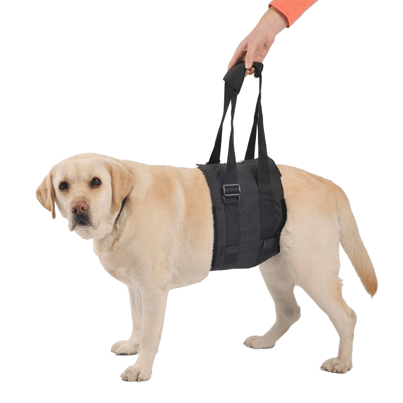 Abdominal Support Sling for Dogs with Reduced Mobility