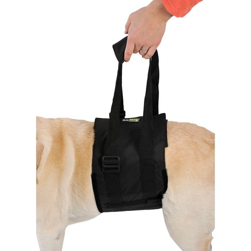 Abdominal Support Sling for Dogs with Reduced Mobility