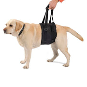 Abdominal Support Sling for Dogs with Reduced Mobility