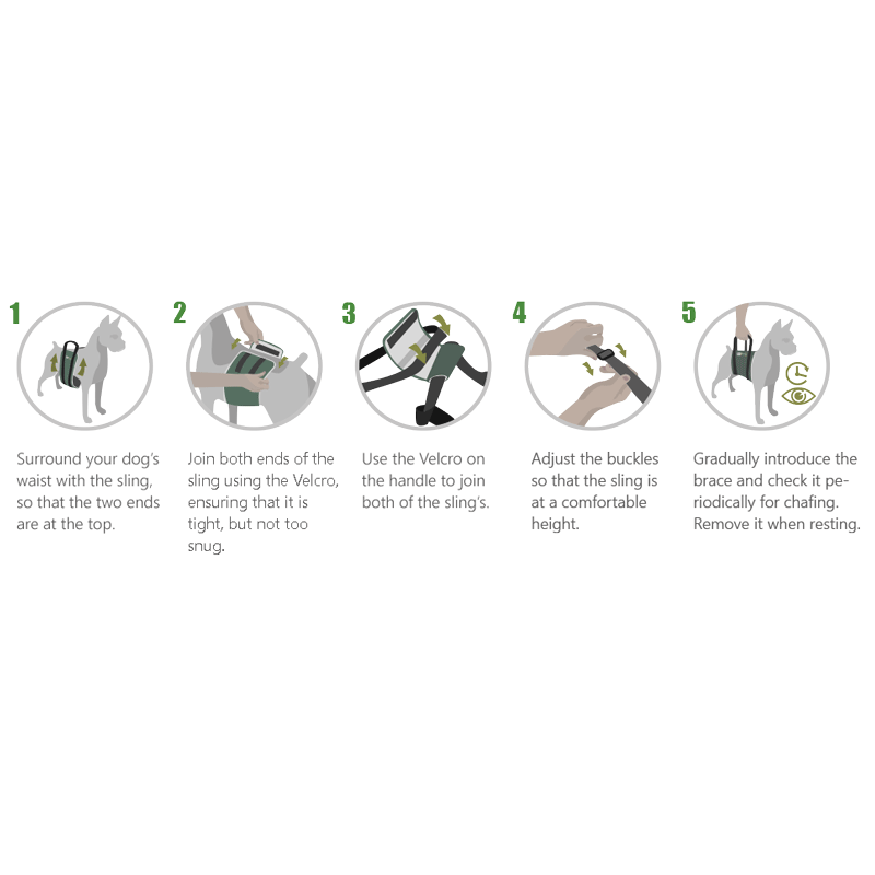 Abdominal Support Sling for Dogs with Reduced Mobility