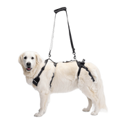 Full Body Support Harness for Dogs — Post-Op & Mobility Aid