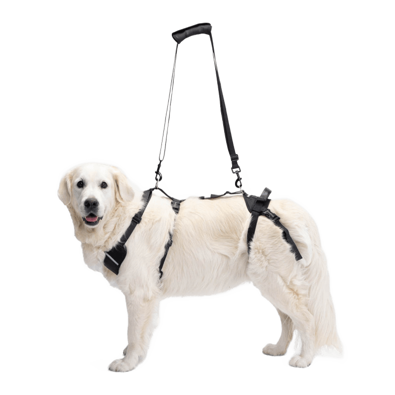 Full Body Support Harness for Dogs — Post-Op & Mobility Aid
