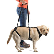 Full Body Support Harness for Dogs — Post-Op & Mobility Aid