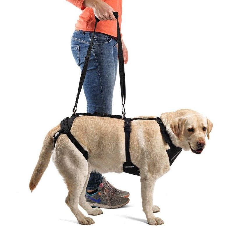 Full Body Support Harness for Dogs — Post-Op & Mobility Aid