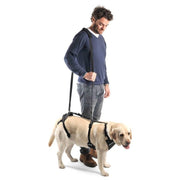Full Body Support Harness for Dogs — Post-Op & Mobility Aid