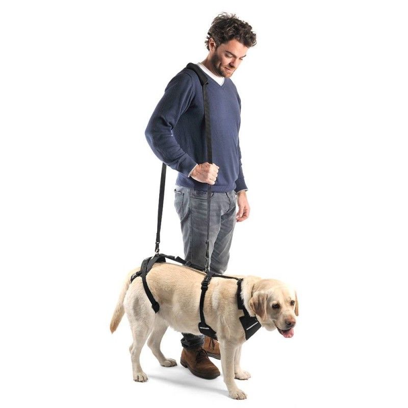 Full Body Support Harness for Dogs — Post-Op & Mobility Aid