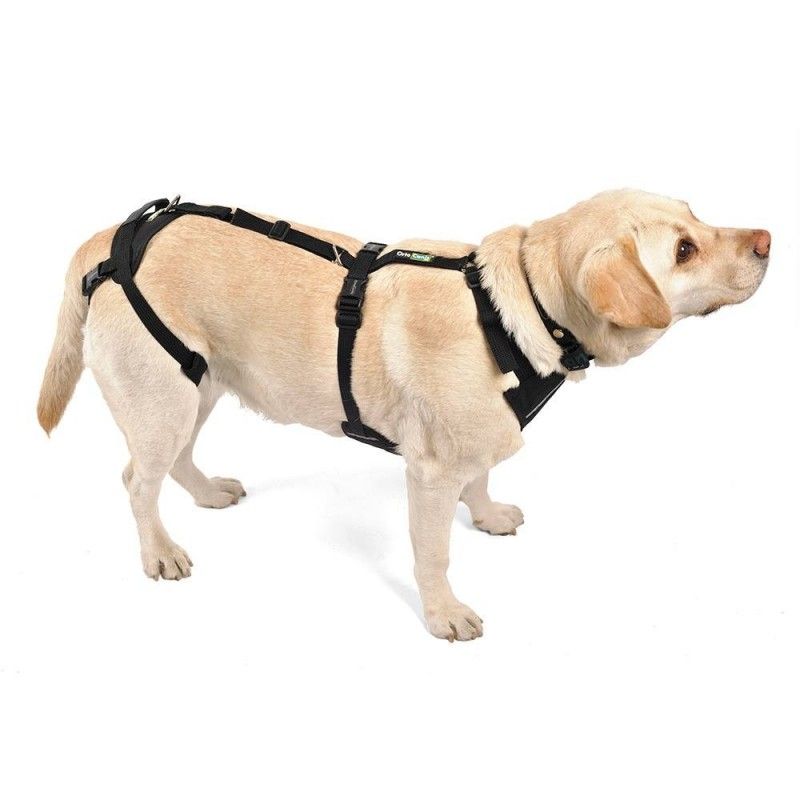 Full Body Support Harness for Dogs — Post-Op & Mobility Aid