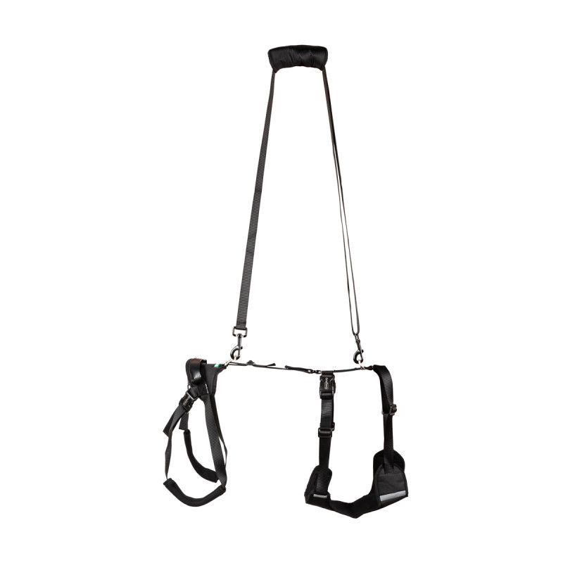 Full Body Support Harness for Dogs — Post-Op & Mobility Aid