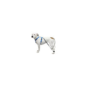 Biko Brace — Walking Aid for Ataxia & Degenerative Myelopathy