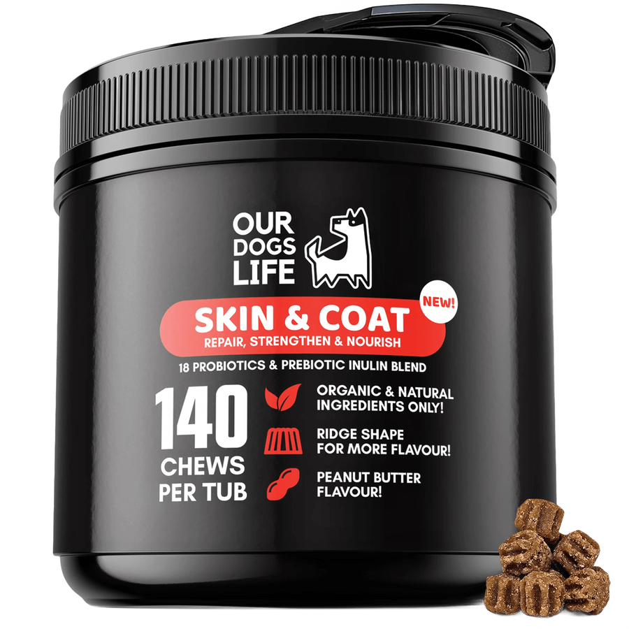 Skin & Coat Supplement Chews for Dogs — 140 Chews