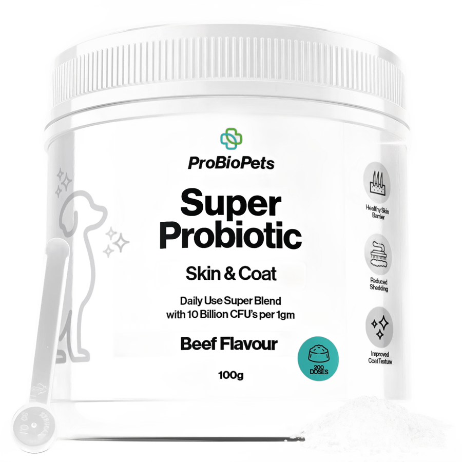 Skin & Coat Probiotic Powder for Dogs & Cats