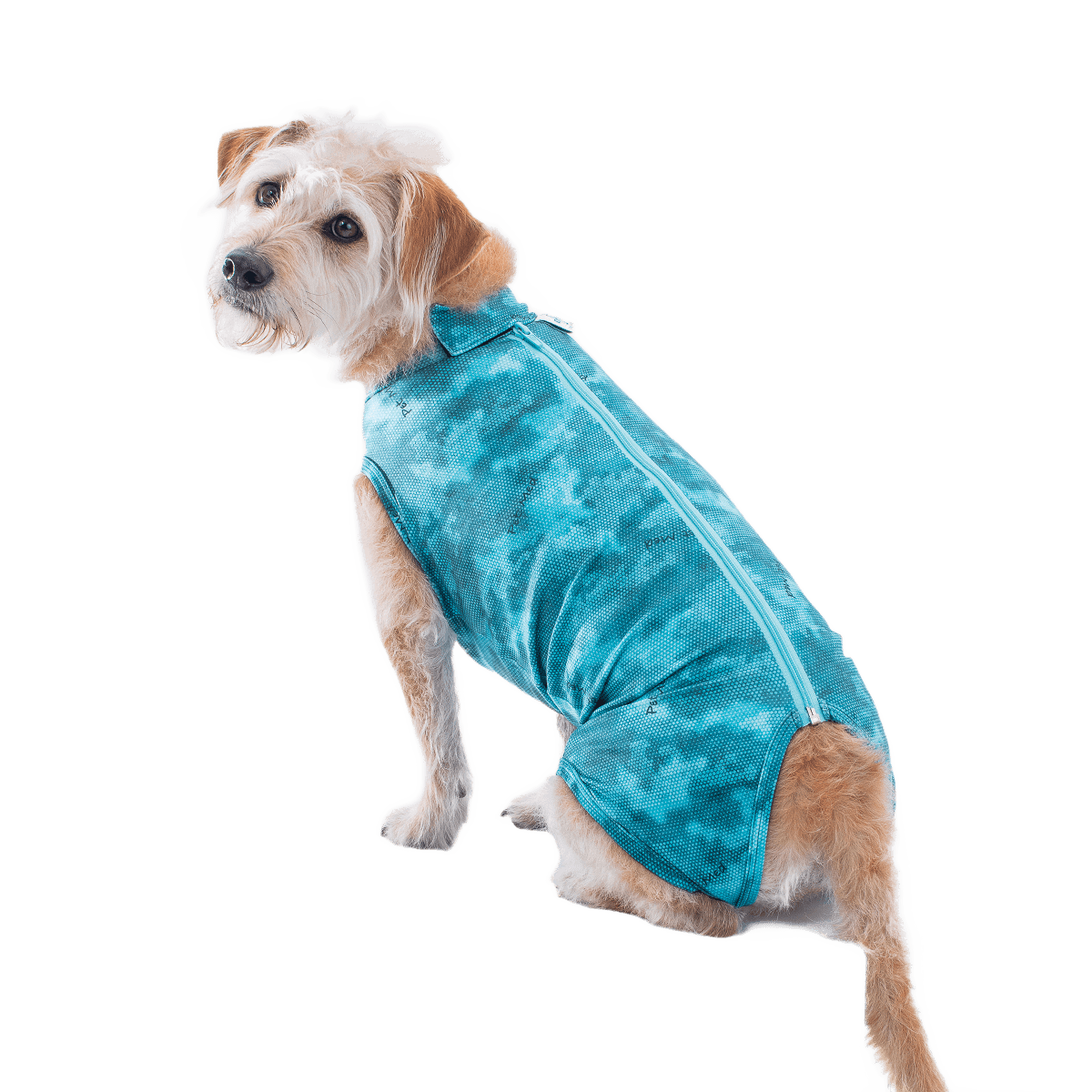 Post Surgical Recovery Shirt for Dogs