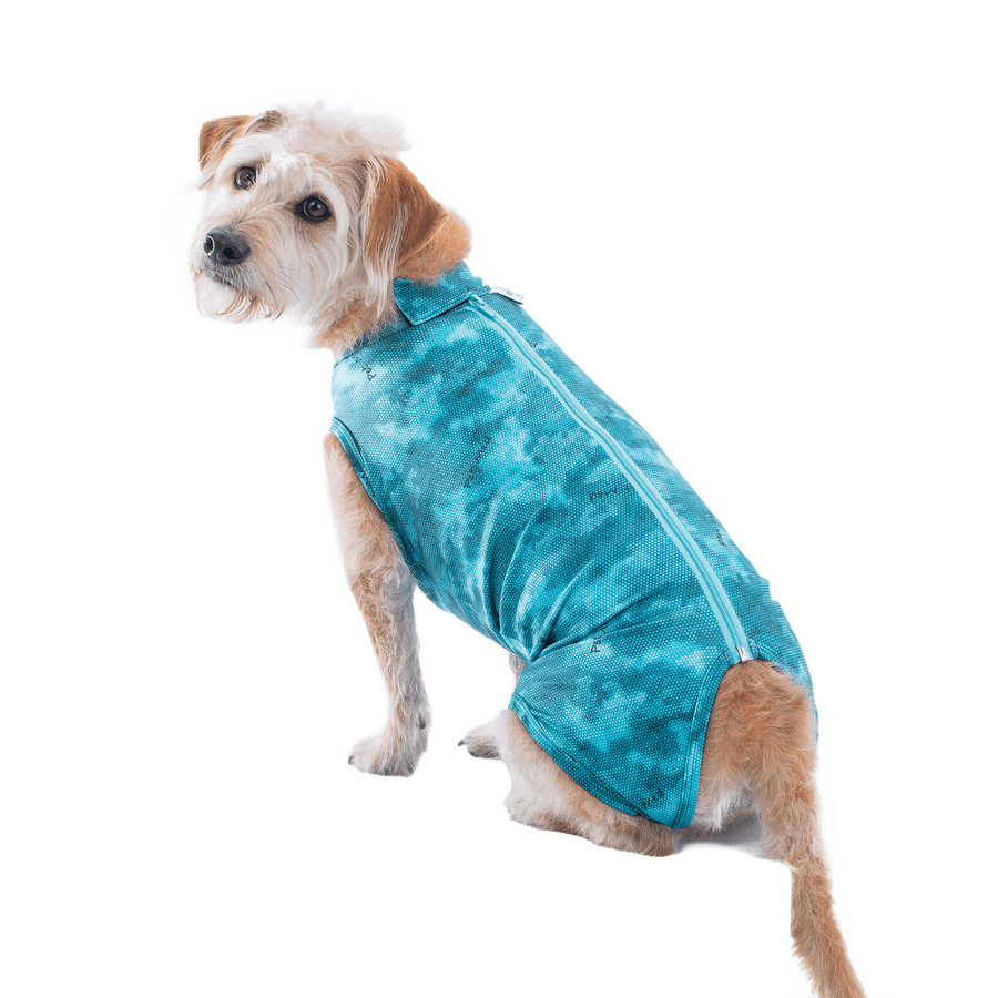 Post Surgical Recovery Shirt for Dogs