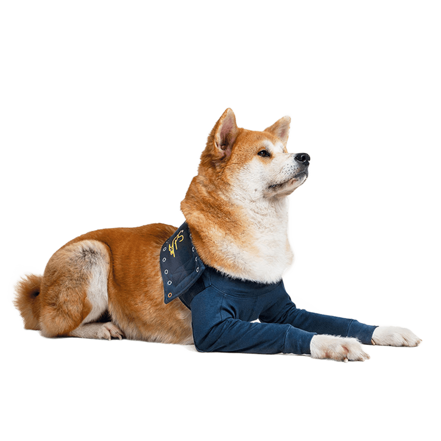 Double Front Leg Sleeve Recovery Shirt for Dogs