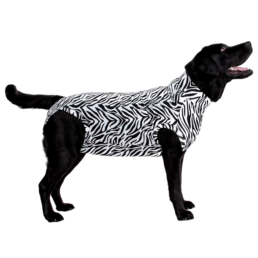 Zebra Print Medical Recovery Shirt for Dogs
