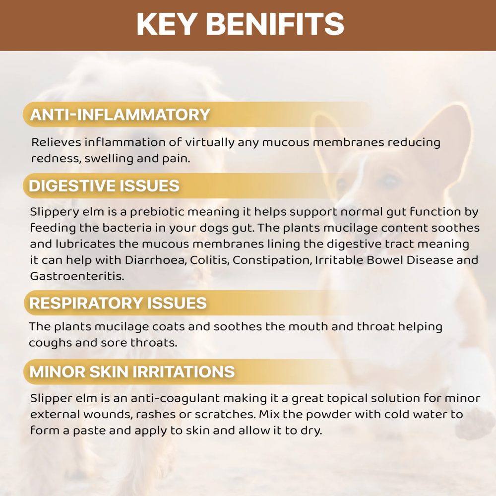Slippery Elm Bark Powder – Digestive Health Supplement for Pets usage view – Fast Relief