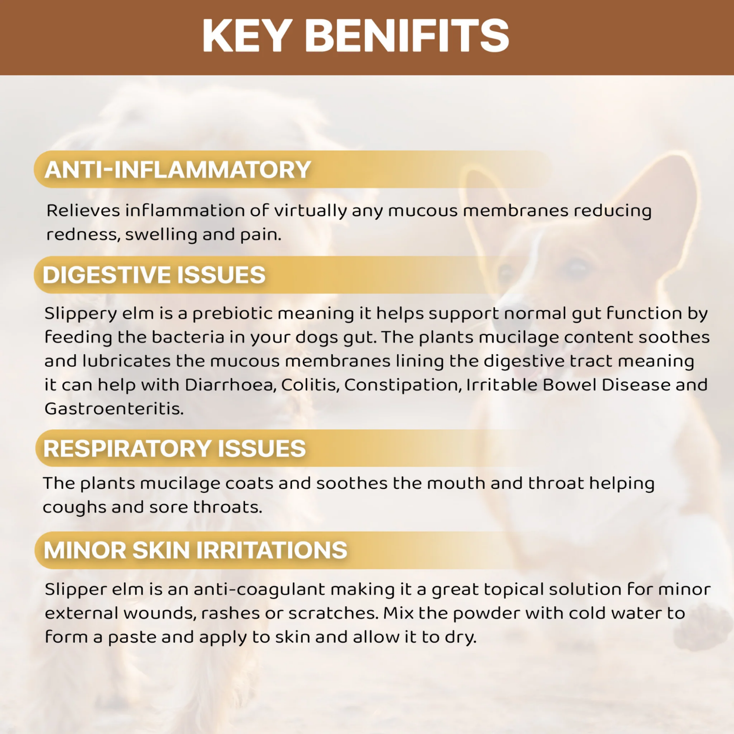 Slippery Elm Bark Powder – Digestive Health Supplement for Pets usage view – Fast Relief
