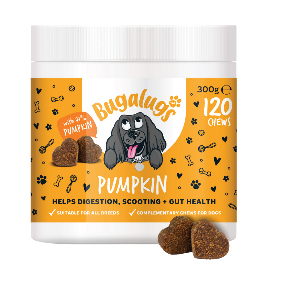 Pumpkin Supplement Chews for Dogs