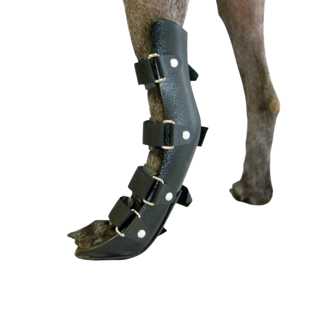 Rear Leg Splint for Dogs & Cats - Hock & Paw Immobiliser packaging – Post-Surgery Recovery