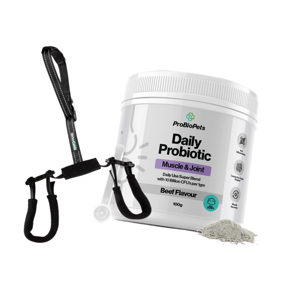 Rear Leg Weakness Bundle – Hindquarter Support & Muscle Recovery