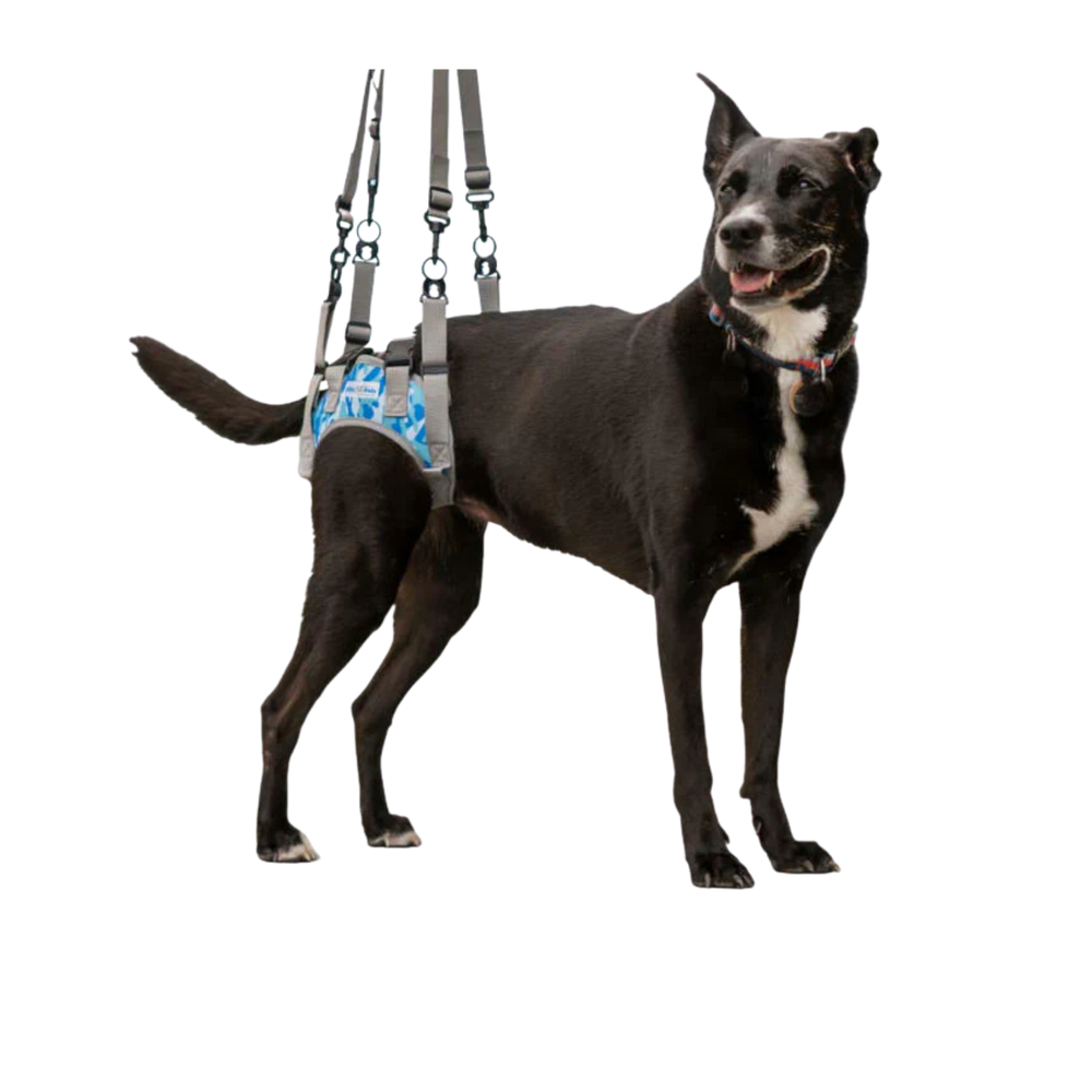 Rear Lift Harness for Dogs with Hind Leg Mobility Problems product detail – Post-Surgery Recovery