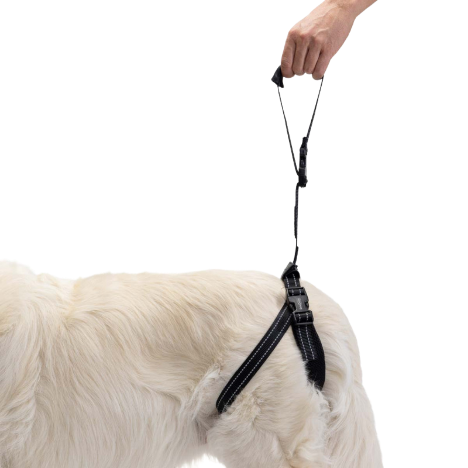 Rear Support Harness for Dogs with Hip & Mobility Issues product detail – Rehab Friendly