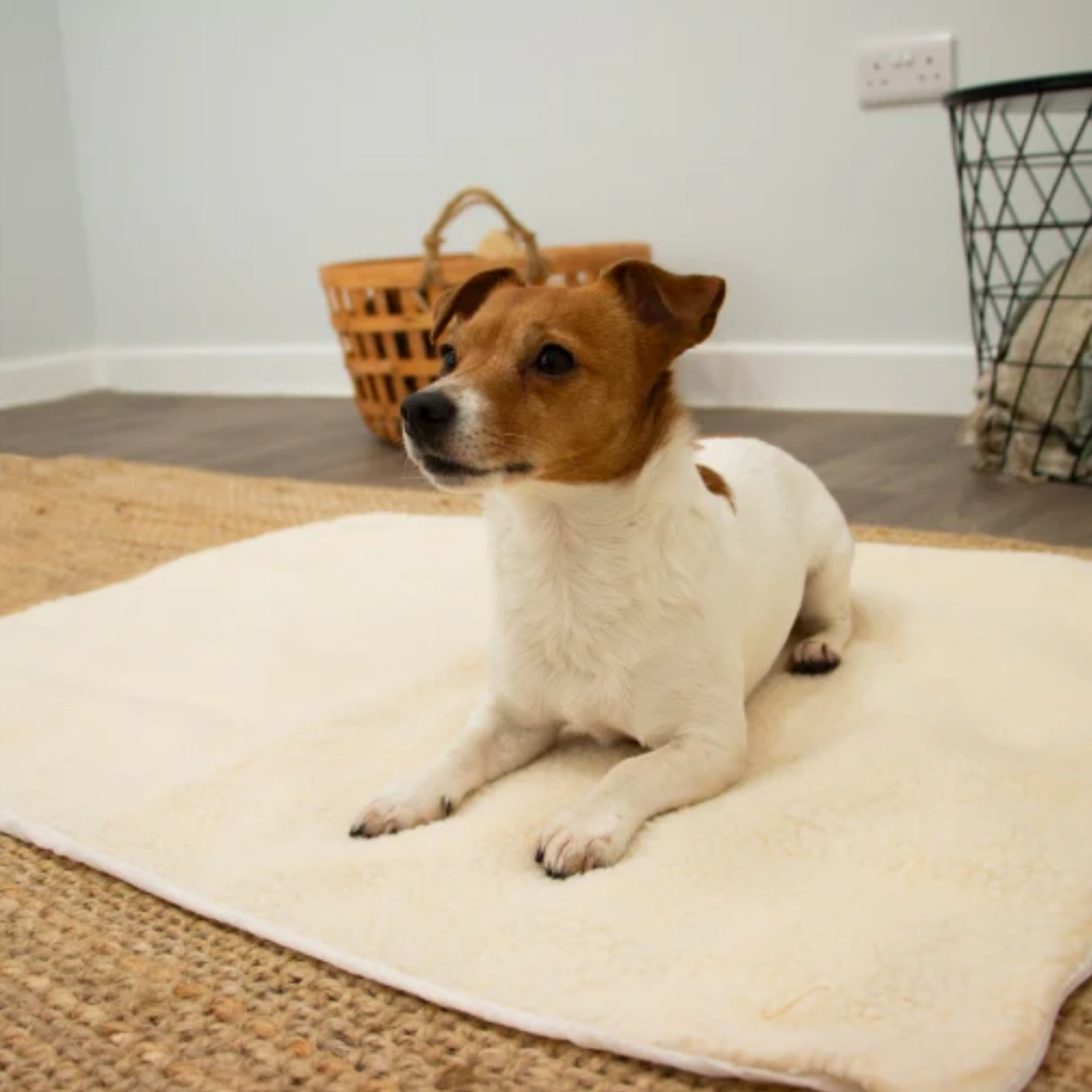 Self-Heating Pet Pad product detail – Senior Dogs