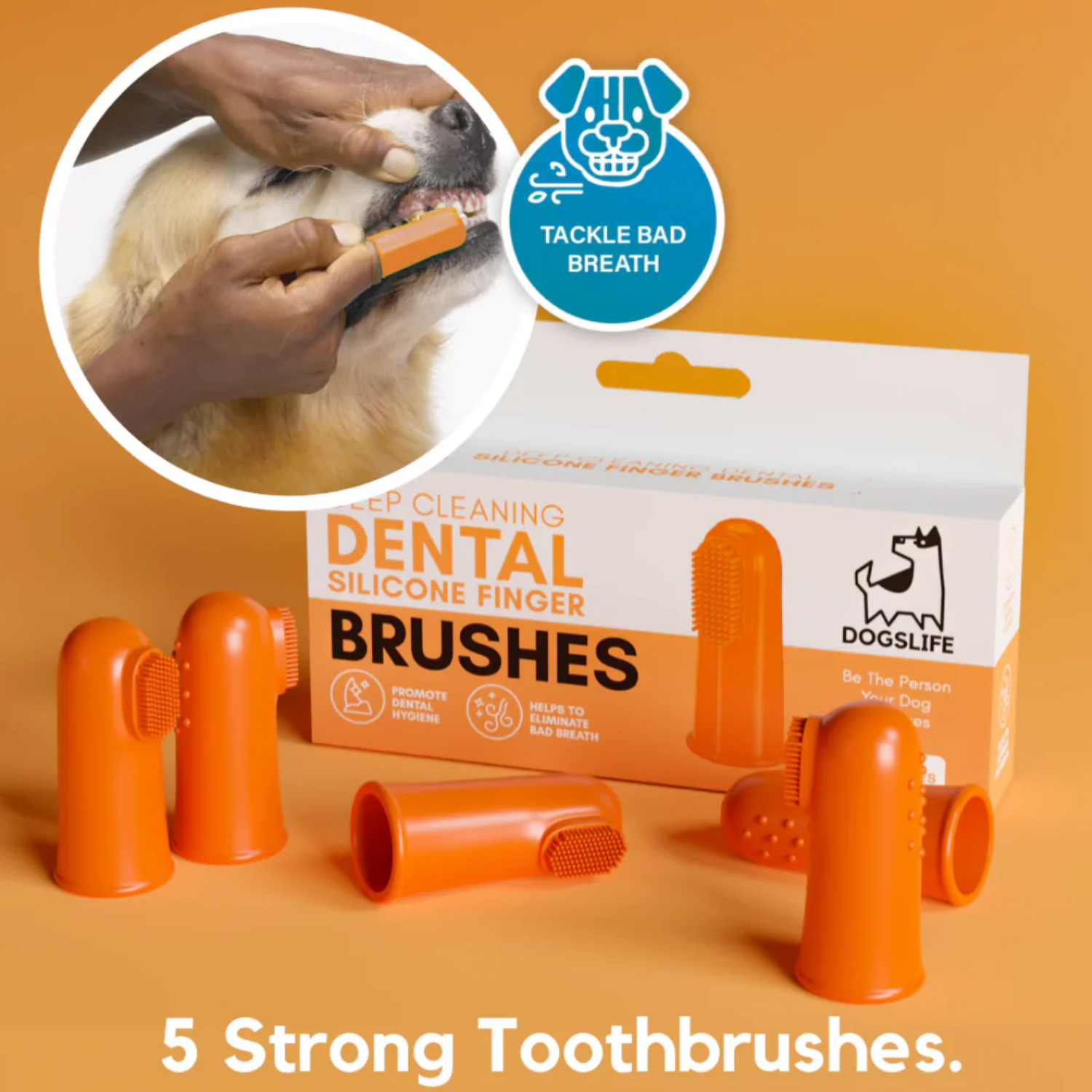 Silicone Finger Toothbrushes for Dogs - Pack of 5 product detail – Gum Massage