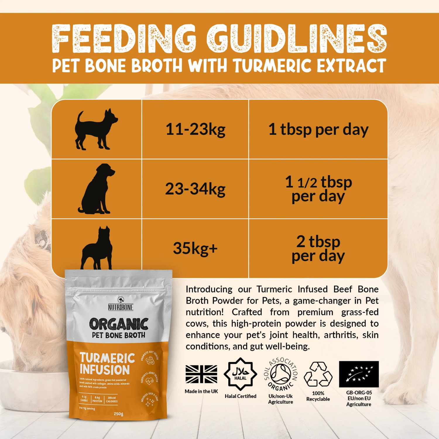 Turmeric Bone Broth Powder Supplement for Dogs & Cats usage view – Soothing Comfort