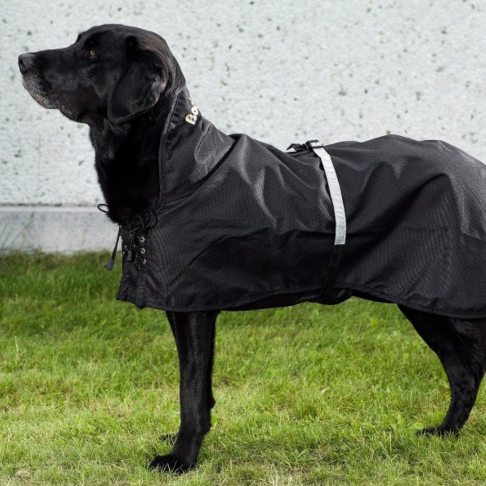 Waterproof Thermal Coat for Dogs with Arthritis & Active Dogs product detail – Waterproof Protection