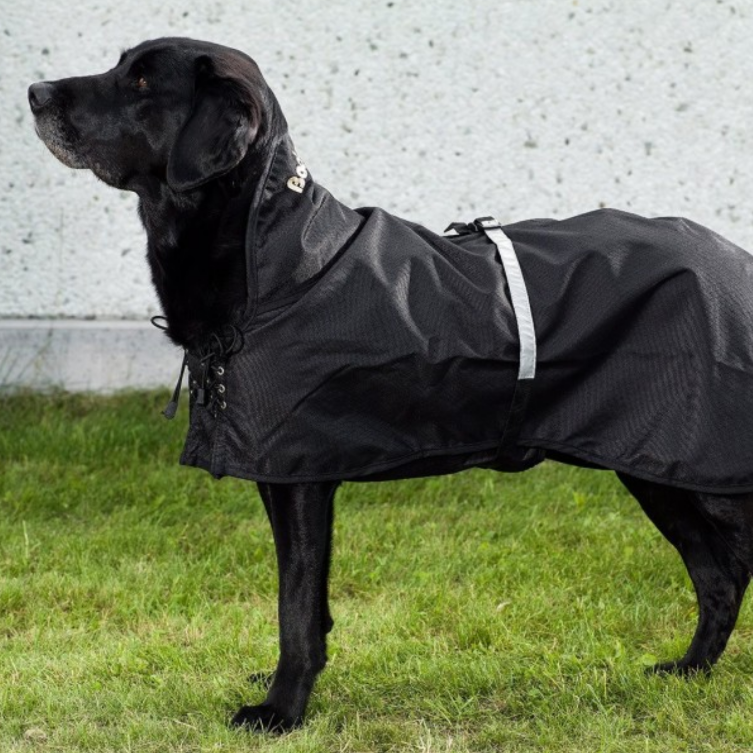 Waterproof Thermal Coat for Dogs with Arthritis & Active Dogs product detail – Waterproof Protection