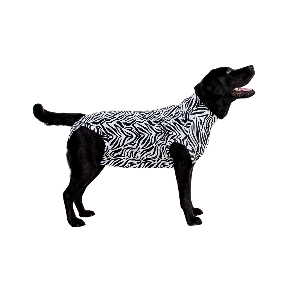 Zebra Print Medical Recovery Shirt for Dogs – Wound Protection & Cone Alternative